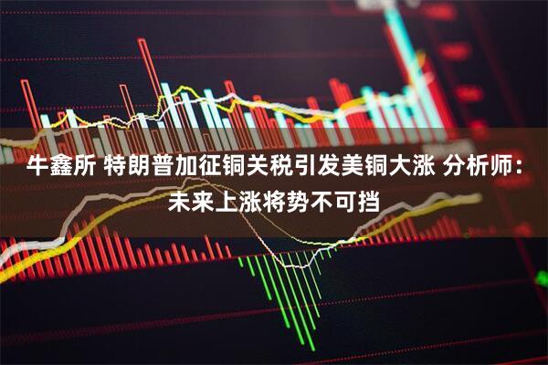 牛鑫所 特朗普加征铜关税引发美铜大涨 分析师：未来上涨将势不可挡