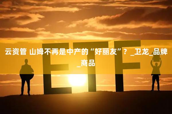 云资管 山姆不再是中产的“好丽友”？_卫龙_品牌_商品