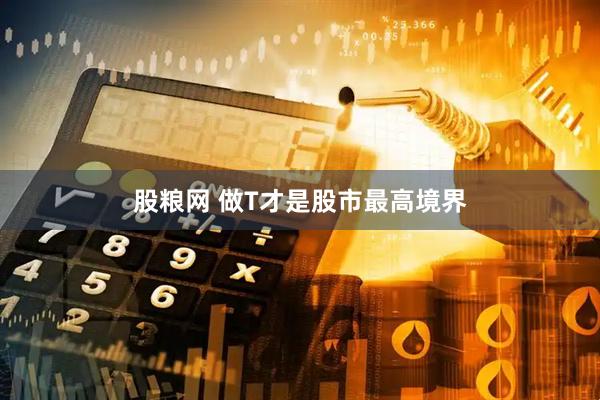 股粮网 做T才是股市最高境界